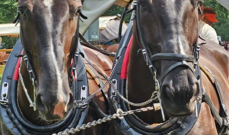 Slovakija. Zakopanė.