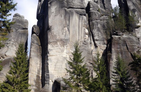 Vroclavas - Adršpadų kalnai - Praha 4d.