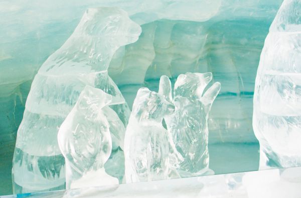 Naujieji metai Šveicarijoje