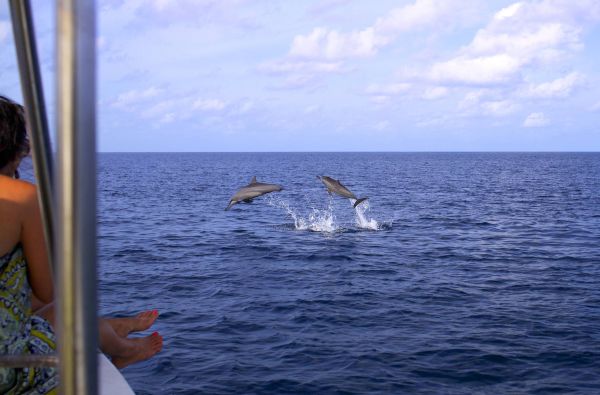 Idiliškas poilsis Maldyvuose! Skrydis, pervežimas ir 7 n. viešbutyje SIX SENSES LAAMU 5* su pusryčiais ir vakarienėmis