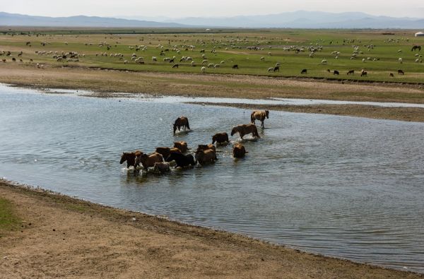 Mongolija. Klajoklių šalies paslaptys – nuo stepių iki mėlyno dangaus 15d.