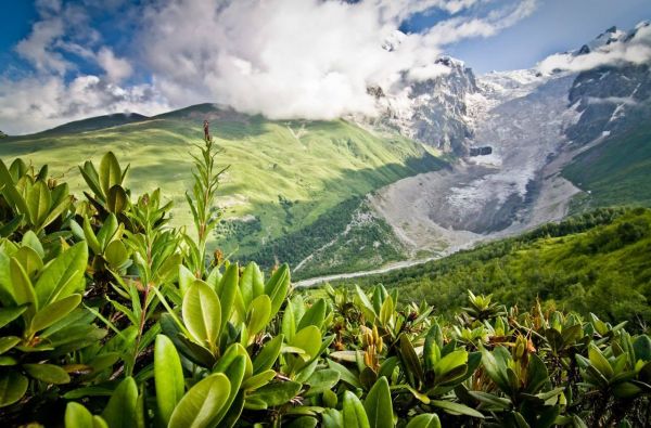 Sakartvelas, Didysis Kaukazas ir Batumis 8d.