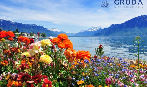 Šveicarija. Kalnai.