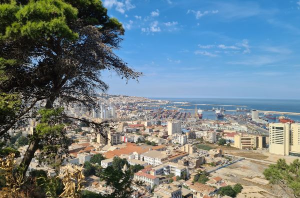 SACHARA su Alžyro prieskoniu 14d.