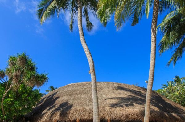 Šeimos atostogos Maldyvuose! Skrydis, pervežimas ir 7 n. viešbutyje KURAMATHI MALDIVES 4+*