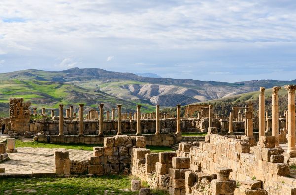 SACHARA su Alžyro prieskoniu 14d.