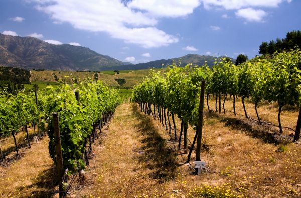 Čilė - Bolivija - Argentina, aplankant Ugnies Žemę. Kelionės pratęsimas Velykų saloje 18d. (23d.)