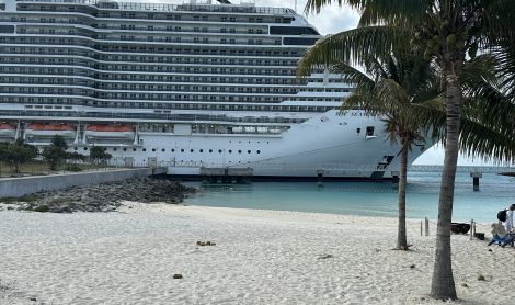 Ocean Cay MSC Marine Reserve sala (Bahamai)