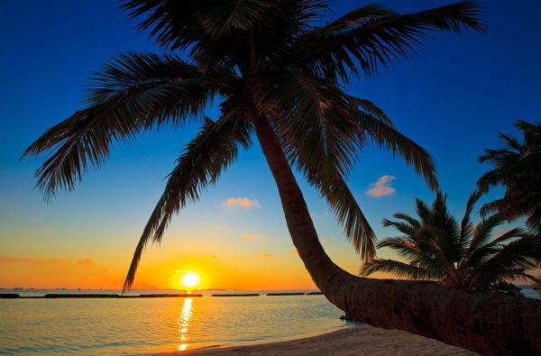 Romantiškos atostogos Maldyvuose! Skrydis, pervežimas ir 7 n. viešbutyje KURUMBA MALDIVES 5* su pusryčiais ir vakarienėmis
