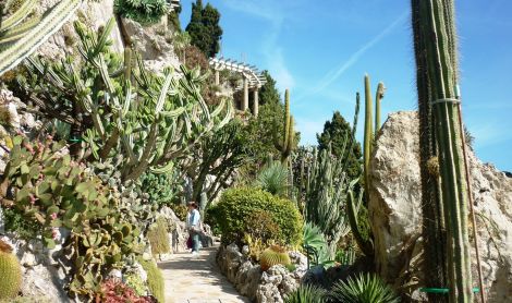 Monakas. Monte Karlas. Egzotiškasis sodas.