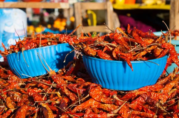 Liepsningoji Meksika su Mirusiųjų dienos fantasmagorija ir poilsiu Kankūne 15d.