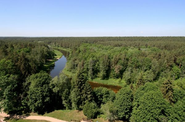 Anykščių šilelis