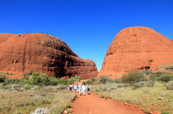 Australija - Naujoji Zelandija 24d.