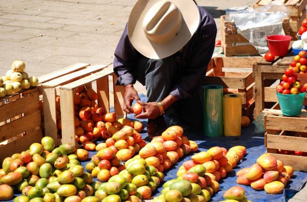 Didingoji Meksika – paslapčių žemė su poilsiu Kankuno kurorte 14d.