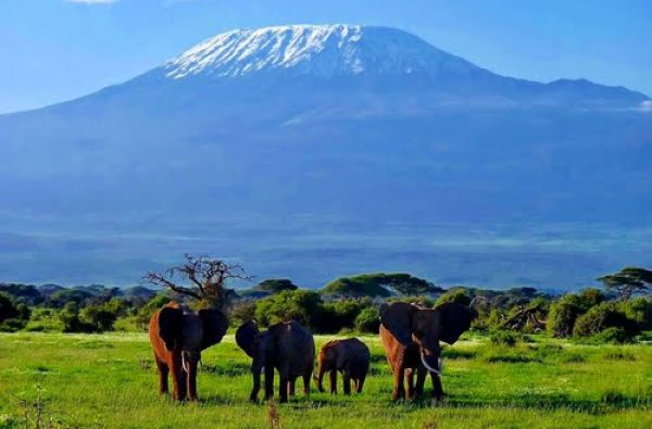 Nuotykių safaris po Rytų Afriką: Kenija - Tanzanija, aplankant garsiausius šių šalių laukinės gamtos nacionalinius parkus ir rezervatus 11d.