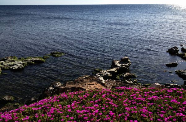 Keliauk į Siciliją! Kelionės kaina už 7 nakvynes ir 3* viešbutį su pusryčiais - tik nuo 447 €!