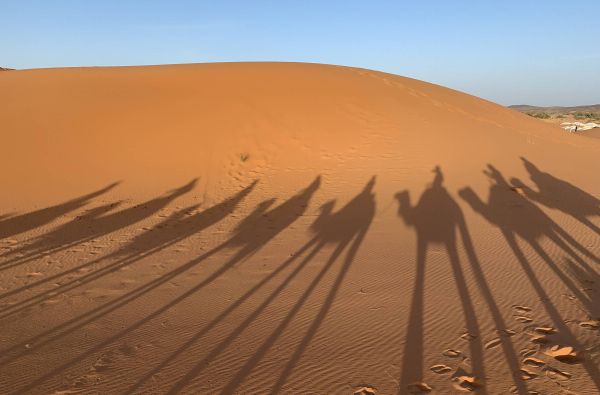 Auksinis Marokas – vartai į juodąją Afriką 14d.
