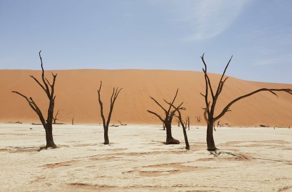 Namibija - Botsvana - Zimbabvė. Patyriminė kelionė ir laukinės gamtos nuotykių  safaris  po Juodąją Užsacharės Afriką 16d.