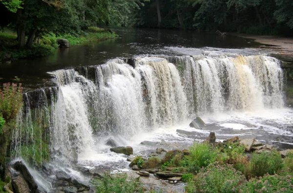 Artimoje, bet kitokioje Estijoje