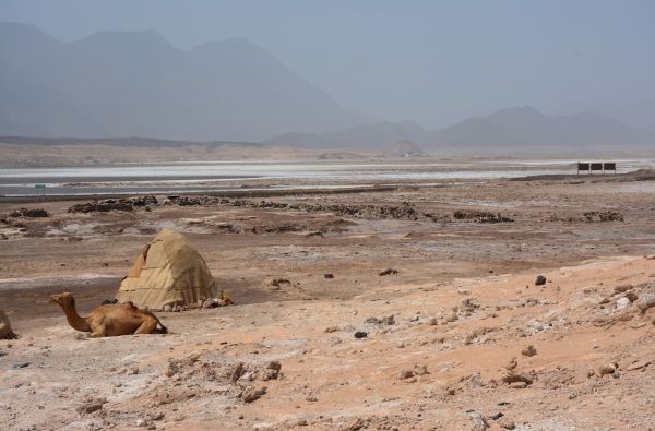 Sudanas - Džibutis. Poilsis ir pramogos prie Indijos vandenyno 15d.