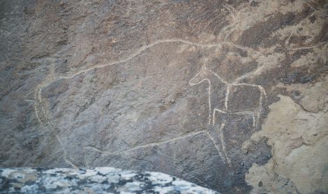 Azerbaidžanas. Gobustano valstybinis rezervatas.