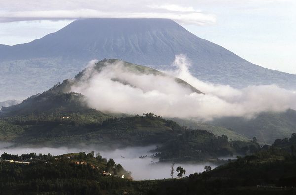 Uganda - Ruanda. Laukinių stebuklų keliais – nuo pasaulio audrų iki primatų sostinės 14d.
