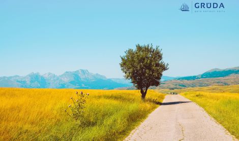 Juodkalnija. Durmitoro nacionalinis parkas.