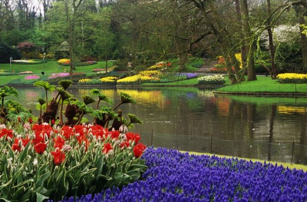 Pavasarinių gėlių žydėjimas Europos soduose 5d.Pavasarinių gėlių žydėjimas Europos soduose 5d.