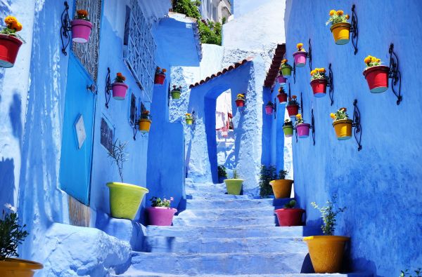 Auksinis Marokas – vartai į juodąją Afriką 14d.