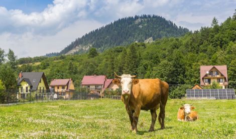 Lenkija. Szczawnicos miestelis.