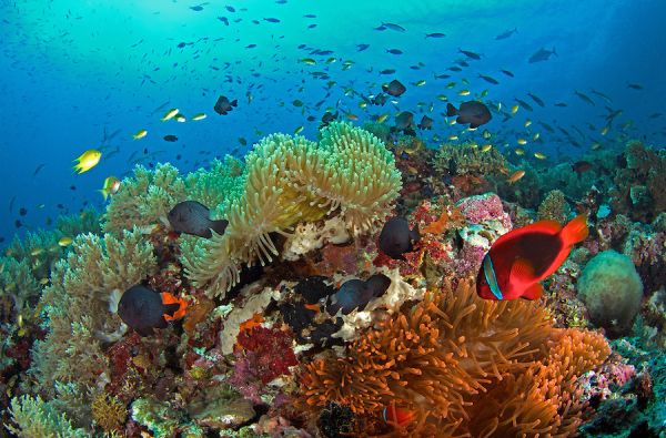 Filipinai – tropikų magija. Poilsis ir pramogos Sabange ir El Nido kurorte. Pramoginė – poilsinė - pažintinė kelionė 13d.