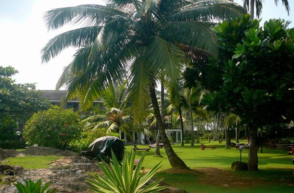 Šri Lanka – Indijos vandenyno perlas, dieviškasis Edeno sodas su poilsiu kurorte prie Indijos vandenyno 13d.