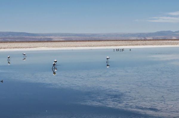Čilė - Bolivija - Argentina, aplankant Ugnies Žemę. Kelionės pratęsimas Velykų saloje 18d. (23d.)