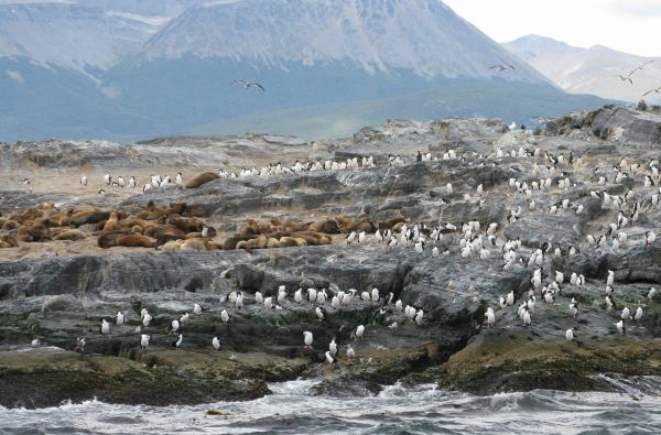 Argentina-Čilė-Velykų s.