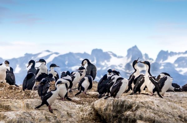 Argentina – ugningojo tango ir ledynų žemė, aplankant gražiausius pasaulyje Igvasu krioklius ir Ugnies žemę 15d.