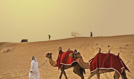 Safaris visureigiais Dubajuje