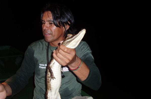 Brazilijos ekspresas – megapolių pulsas ir Eldorado paieškos Amazonės džiunglėse 15d.