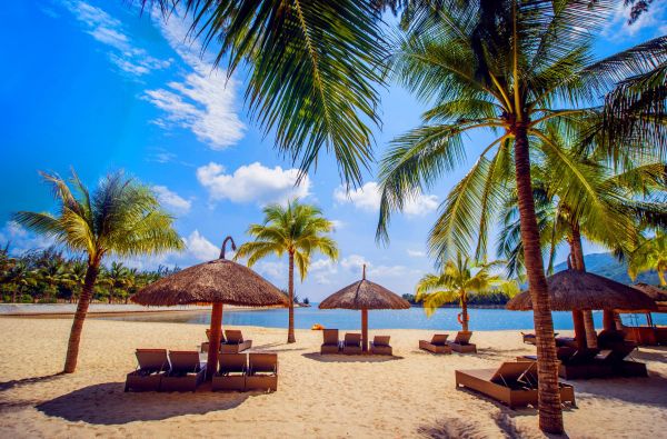 “Aloha“ Havajai: miestai, salos ir vulkanai 10d.