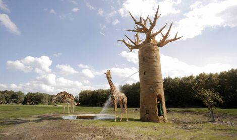 Vokietija. Serengečio parkas.