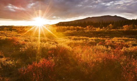 Ekspedicija į Aliaską II su žvejyba Kenai upėje