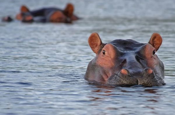 GRŪDOS turas po kontrastingąją Etiopiją. Krikščioniškasis paveldas, įspūdinga gamta, archaiškos gentys 15d.