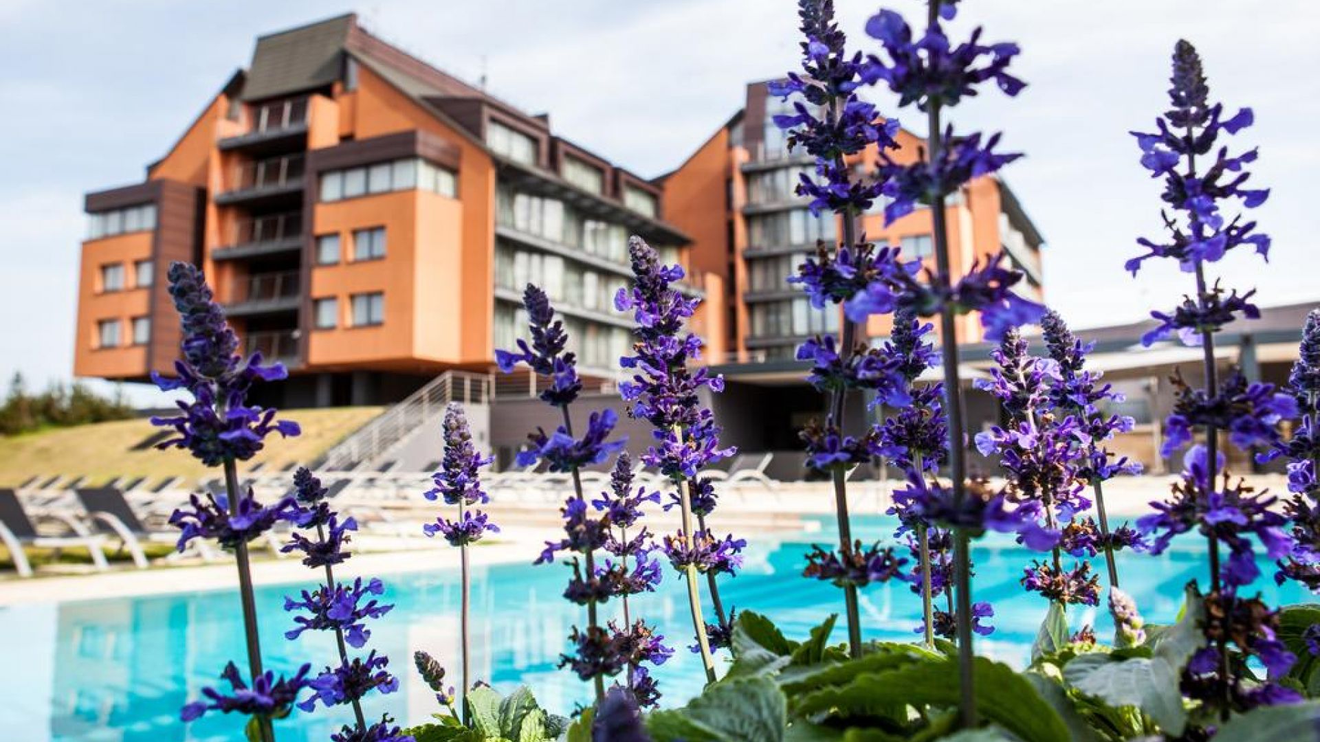 Vanagupe Spa Resort Palangoje | Poilsis Palangoje