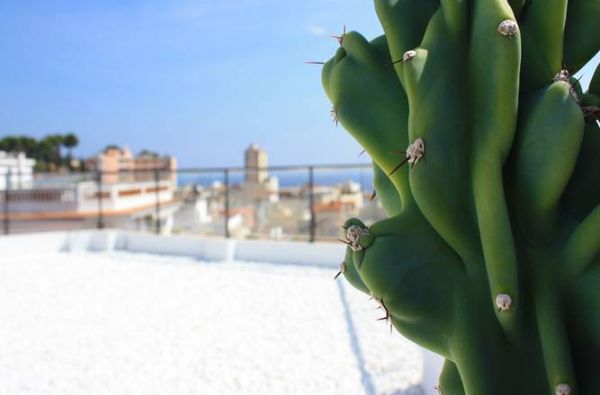 LLoret de Maras. Mėgstantiems būti šurmulio sūkuryje, siūlome apsistoti - Lloret de Maro centre - Ispanija. Skrydis, 7n. viešbutyje ALEGRIA PLAZA PARIS 4*, su pusryčiais - nuo 575 €!