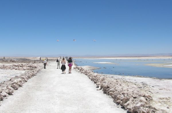 Didžioji ekspedicija po Pietų Ameriką ir Okeaniją: Argentina - Čilė - Patagonija - Ugnies žemė - Velykų sala 20d. (24d.)