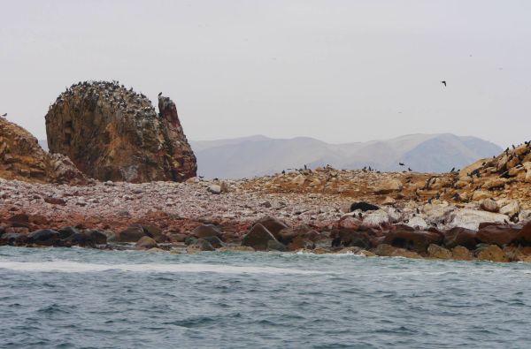 Peru - Bolivija, aplankant Ujūnio druskos „sniegynus“, Vaivorykštinius kalnus ir Amazonės baseino džiungles 18d. (21d.)