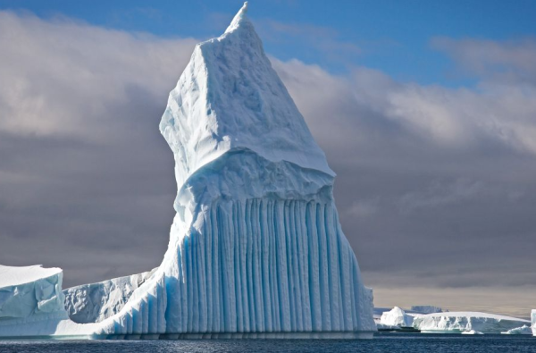 Ekspedicinis Antarktidos kruizas su GRŪDA ir Rytu Šalna Albatros Expeditions kompanijos nauju ir moderniu Ocean Victory laivu 15d. NAUJIENA!