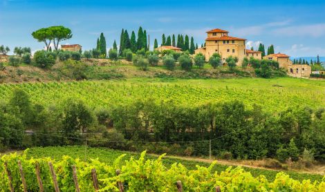 Italija. Chianti.