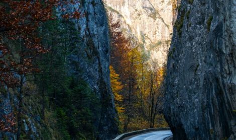 Rumunija. Bikazo kalnų tarpeklis.