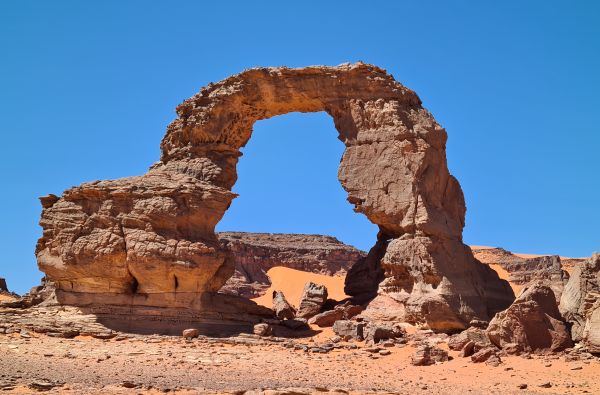 SACHARA su Alžyro prieskoniu 14d.