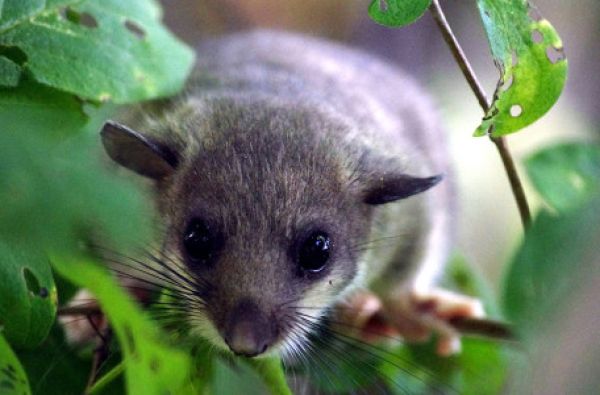 Neries pakrančių gamtos ir kultūros turtai 1d.